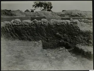 Excavation at Ayia Irini showing a tall layered soil section, stones along its top edge, and a tree on spoil heaps behind