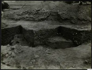 Excavation at Ayia Irini with a cut section of dark soil, a line of stones on a spoil heap, and trees in the background