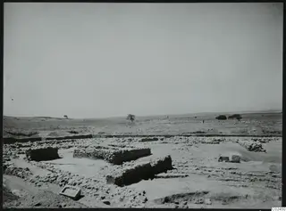 Excavated low stone walls and foundations in the foreground, with open flat country and scattered trees beyond at Ayia Irini.