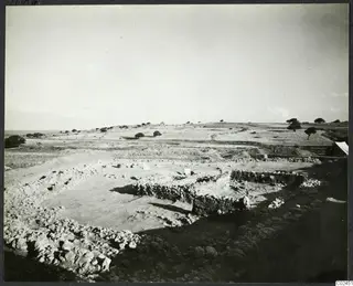 Excavated stone wall foundations of the temenos at Ayia Irini, with a tent and scattered trees in the open landscape beyond.