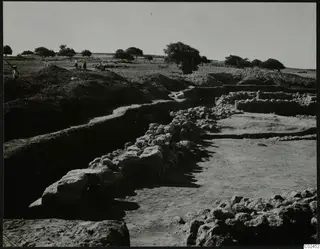 Excavation at Ayia Irini with stone wall foundations, a deep trench and spoil heaps, with several people and trees in the distance.