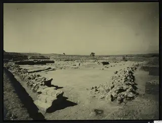 Excavated area at Ayia Irini with low stone walls, a cleared floor and a lone tree on the horizon