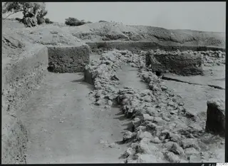 Excavated area at Ayia Irini with a line of stones, low walls and a tree on the slope beyond
