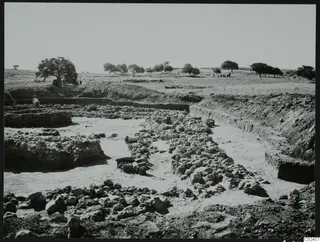 Excavated stone foundations at Ayia Irini, with trees and small figures on the open ground behind.
