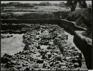 Excavated stone foundations and rubble in a trench at Ayia Irini temenos, with buildings and a tree beyond