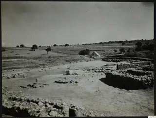 Overall view of the excavation at Ayia Irini with stone walls, a white tent and scattered trees
