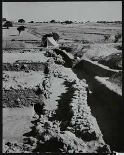 Excavated walls and a trench at Ayia Irini, with a white tent and trees in the background