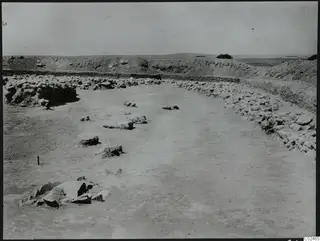 Excavated area at Ayia Irini with stone lines along the edges, scattered stone blocks and a bush on the ridge behind.