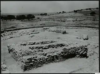 Excavated stone walls at Ayia Irini, with trees, the sea on the horizon and people working in the background
