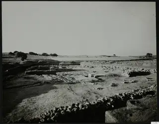 Temenos topography at Ayia Irini: low stone walls and excavated ground, with trees in the distance