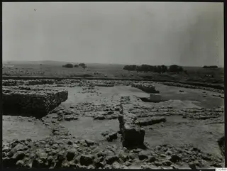Excavated stone walls and foundations of the temenos at Ayia Irini, with a flat open landscape and trees behind