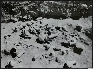 In situ finds at Ayia Irini: a scatter of bone fragments and stones on excavated ground below a soil face