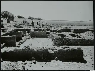 Excavation at Ayia Irini with workers, exposed stone walls and a wheelbarrow in open, dry ground