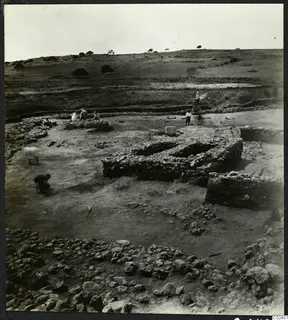 Excavation at Ayia Irini with exposed stone walls, several people working, and trees on the hill behind