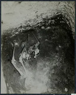 Excavated pit at Enkomi with a skeleton lying in dark soil among stones.