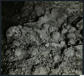 Tomb 11 at Enkomi: close view of rounded objects half-embedded in soil inside the tomb chamber during excavation.