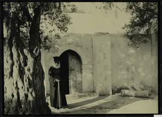 Papa Prokopios standing with a cane beside an olive tree at Ayia Irini, in front of an arched doorway