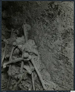Skeleton bones lying in soil inside Tomb 19 at Enkomi, during excavation
