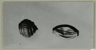 Two small grooved objects from Enkomi, one rounded and one elongated, photographed on a pale plain surface