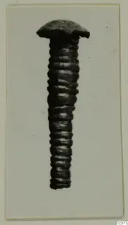 Pin with a flat domed head and a shaft wrapped in closely spaced rings, shown on a card mount