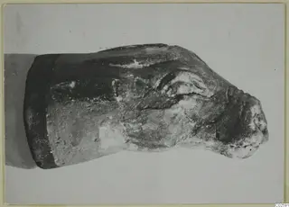 Worn fragment of a figure, possibly an animal head, shown in side view on a plain background