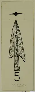 Drawing of a barbed bronze arrowhead with a tang, stippled in ink on card