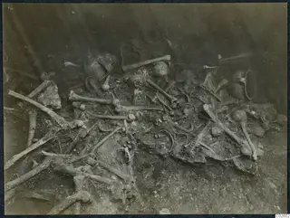 Tomb 6 at Enkomi: skeleton bones and vessels in the tomb chamber during excavation