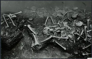 Tomb 6 at Enkomi during excavation, with scattered human bones, skulls and pottery vessels in the tomb chamber soil