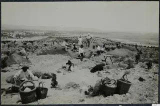 Excavation on the acropolis at Idalion, with workers digging among earth mounds and large baskets in the foreground.