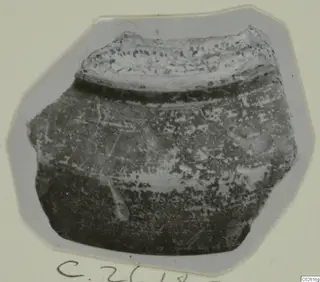 Pottery sherd with a curved rim, mounted on a grey card with a number label