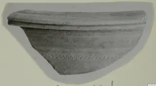 Pottery sherd: rim fragment of a vessel with a ridged lip and a row of impressed dots on the body