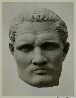 Head of a male statue in stone, with short curled hair and a broken neck.