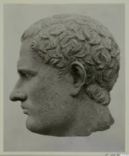 Stone head from a statue, seen in profile facing left, with curly hair.