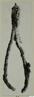 Corroded metal tool with a looped head and two long arms splayed apart, from Marion, on a pale background.