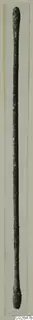 Long, slender, corroded metal object from Marion with thickened ends, photographed upright against a pale card.