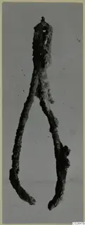 Corroded iron implement with a loop at the top and two long arms splaying apart toward blunt ends