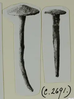 Two iron nails from Marion, photographed on mounted card strips.