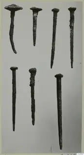 Several corroded nails with flat or domed heads and tapering shafts on a plain grey background
