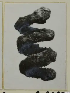 Corroded bronze spiral object with blue-green patches, shown on a mounted photograph card