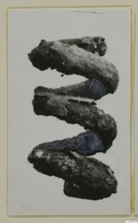 Corroded bronze spiral ornament from Marion, Tomb 41.