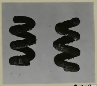 Two dark spiral bronze adornments from Marion, Tomb 41, shown side by side on a grey backdrop