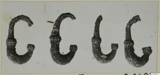 Four corroded curved metal objects from Marion, Tomb 41, shown in a row on a pale background