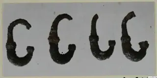 Four corroded hook-shaped metal objects from Tomb 41 at Marion, shown side by side on a pale background