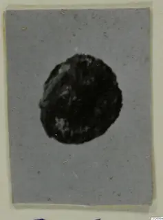 Small dark round object centred on a grey card, photographed as a single find