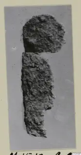 Two heavily corroded iron tool fragments photographed on a grey background