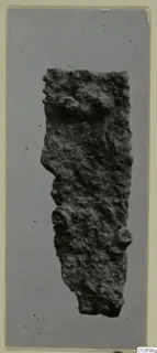 Corroded iron fragment, part of an iron tool, shown on a grey card