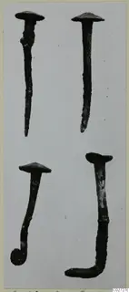 Four corroded metal nails with domed heads, two of them bent, from Marion tombs 46–60.