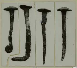 Four corroded metal nails with domed heads, photographed side by side in separate panels on a card
