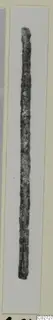 Long, slender corroded metal implement with a rounded top, shown upright on a white card