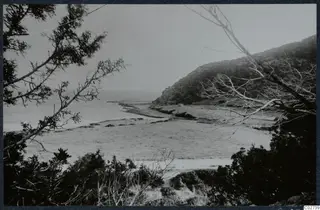 View across a flat coastal plain to the sea, with a hillside on the right and trees framing the view.